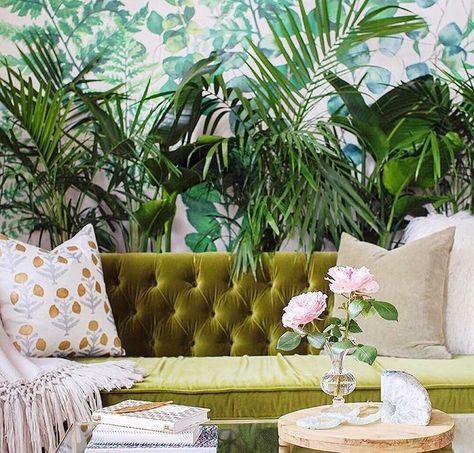 Plants behind couch Stand Behind Couch, Plants Behind Couch, Wall Decor Behind Couch, Decor Behind Couch, Interesting Living Room, Couch Makeover, Behind The Couch, Sunday Activities, Couch Ideas