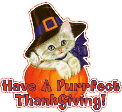 Have-A-Purrfect-Thanksgiving.gif (514×469) Thanksgiving Cats, Kitty Gif, Thanksgiving Cat, Turkey Cartoon, Charlie Brown Thanksgiving, Holiday Gif, Dog Thanksgiving, Thanksgiving Pictures, Thanksgiving Banner