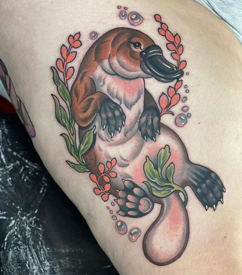 Sadee Glover on Instagram: “Platypus 😍 Thankyou for coming to get this today Stephanie!” Kiwi Bird Tattoo, Platypus Tattoo, Kiwi Bird, Bird Tattoo, Leg Sleeves, Platypus, Birds Tattoo, Animal Tattoos, Be Nice