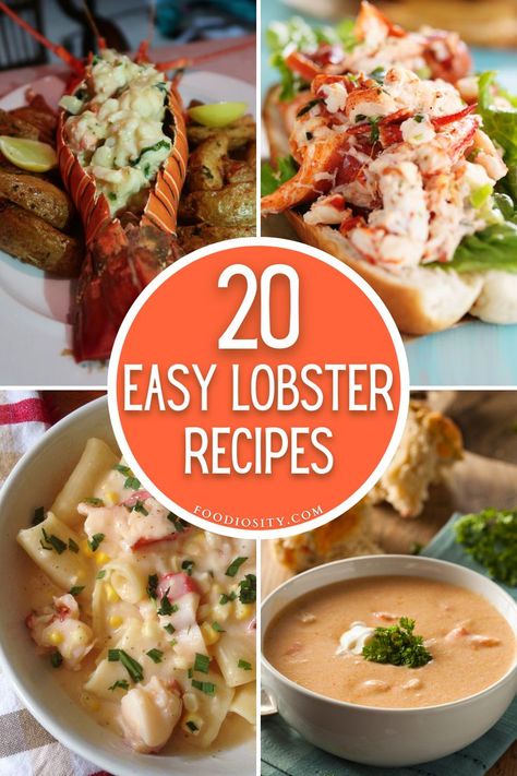 Unlock a treasure trove of culinary delight with our 20 easy lobster recipes! Elevate your dining experience with dishes that effortlessly turn a luxurious ingredient into a simple, yet splendid meal. Click now to dive into a sea of flavors, where easy meets elegant, and discover new favorites that'll enchant your taste buds and impress your guests. #LobsterRecipes Recipes With Crab, Lobster Recipes Easy, Cooking Lobster, Seafood Sushi, Lobster Dishes, Gourmet Appetizers, Sea Foods, Seafood Entrees, Delicious Seafood Recipes