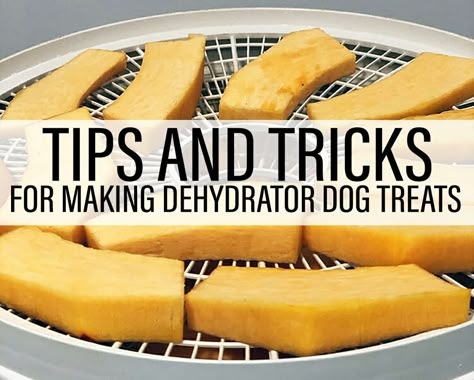 Are you new to making dehydrator dog treats? Learn all you need to know with our simple guide & start making your dog treats with confidence. Find out what tools we use, how to make treats safely, and all of our tips and tricks for creating homemade treats your dog will love. Dehydrated Pumpkin Dog Treats, Dehydrated Dog Treats Recipes, Long Lasting Dog Treats Homemade, Dehydrator Dog Treats, Dehydrated Banana Chips, Dehydrated Dog Treats, Dog Popsicles, Pup Treats, Treat Business