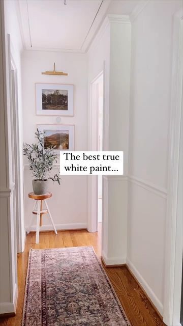 Lauren Shaver on Instagram: "Hands down the BEST true white paint color you can save for later! 🤍🤍🤍 I’m asked what shade of white is on our foyer, hallway, breakfast nook, and office’s walls all the time. Benjamin Moore Chantilly Lace all day every day baby! It’s so clean and bright and makes for the perfect baseline for cabinets, ceilings, trim, and any room you want to feel fresh. But it still feels just warm enough to avoid that stark, uninviting feeling. What other shades of white do you Benjamin Moore Paint Chantilly Lace, Chantilly Lace Benjamin Moore Hallway, Simply White Benjamin Moore Walls, True White Paint Color, Chantilly Lace Benjamin Moore Walls, Chantilly Lace Walls, Benjamin Moore Chantilly Lace, Chantilly Lace Benjamin Moore, Benjamin Moore Simply White