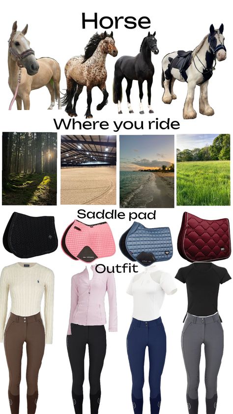 #englishriding #outfit #equestrian #equestrianfashion #horses #horsegirl Equestrian Aesthetic Outfit, Hunter Jumper Outfits, English Horse Riding Outfits, Winter Riding Outfits, Horse Riding Outfit Casual, Horse Riding Outfits, Horse Riding Outfit Women, Equestrian Fashion Outfits, Horse Rider Outfit