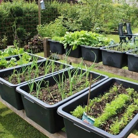 New raised bed - - Tag someone who needs to see this💙 - Follow 👉 @happy_gardening_club for more… | Instagram Vegetable Garden Diy, Diy Raised Garden, Backyard Vegetable Gardens, Veg Garden, Have Inspiration, Container Gardening Vegetables, Creative Gardening, Hydroponic Gardening, Vegetable Garden Design