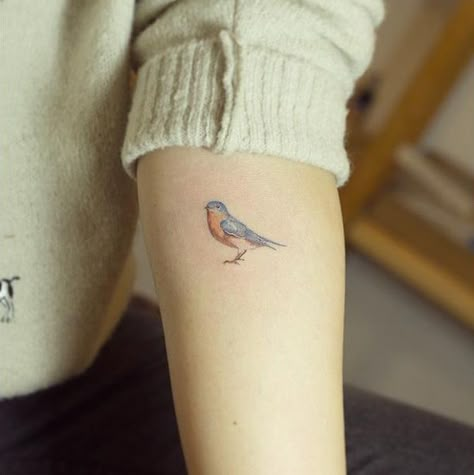 Robin tattoo Blue Bird Tattoo, Robin Bird Tattoos, Robin Tattoo, Small Bird Tattoos, Little Bird Tattoos, Bird Tattoos For Women, Vogel Tattoo, Small Bird Tattoo, Female Tattoos