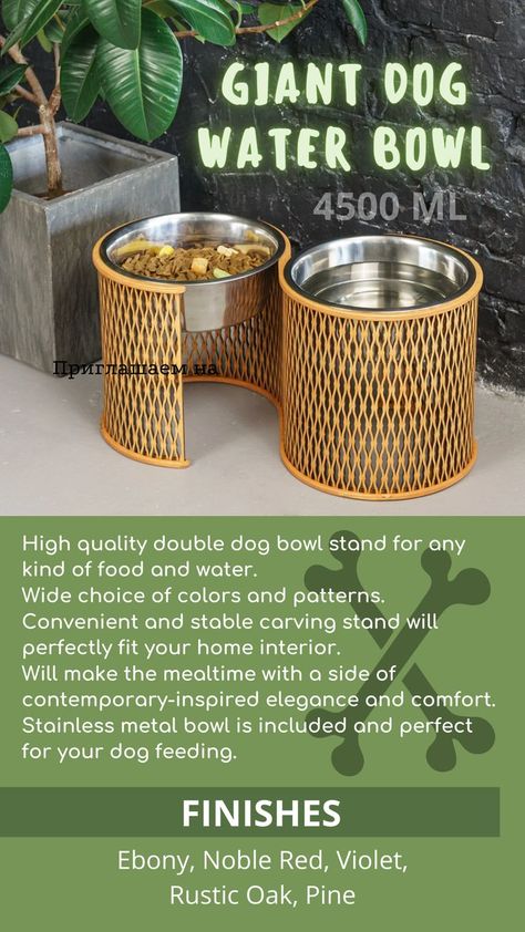 Pet Bowls Stand, Dog Water Bowl, Raised Dog Feeder, Stainless Steel Dog Bowls, Elevated Dog Bowls, Dog Bowl Stand, Dog Water Bowls, Dog Food Bowls, Giant Dogs