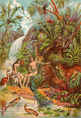 eden garden | Book of Genesis God's Creation The Garden of Eden The Garden Of Eden, Bible Illustrations, Christian Prints, Fairytale Illustration, Garden Of Eden, Lithograph Print, Adam And Eve, Bible Art, Tailored Shirts