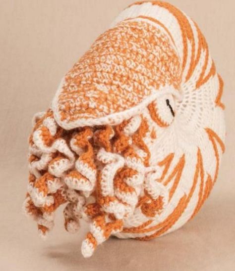 crochet nautilus Crochet Sea Animals, Ocean Crochet, Crochet Coral, Shell Crochet, Crochet Sea Creatures, Crochet Mermaid Tail, Weaving Inspiration, Crochet Fish, Crochet Mermaid