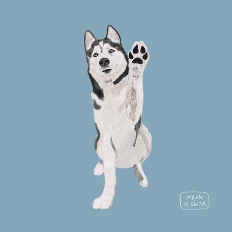 drawing ideas, dogs lovers, cool art drawing, dog pfp, easy drawing, cute easy drawing, drawing inspo, drawing ideas easy, dog, drawing ideas creative, cute mini drawing, dog draw tutorial, dogging, dogs, face drawing, dog drawing reference, dog painting, simple drawing, animal drawing Husky Art Cartoon, Siberian Husky Illustration, Husky Cartoon Wallpaper, Husky Illustration Cute, Husky Painting Easy, Husky Animation, Husky Drawing Sketches, Drawing Ideas Easy Dog, Husky Drawing Cartoon