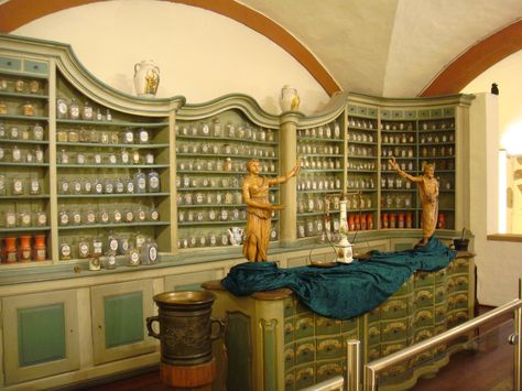 Deutsches Apotheken Museum (pharmacy museum) - Heidelberg, Germany Herbalist Shop, Heidelberg Castle, Apothecary Decor, Cabinet Of Curiosity, Apothecary Cabinet, Germany Castles, Herbal Apothecary, Dream Studio, Traditional Medicine