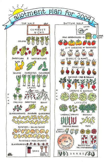 I am so getting my arty wife to draw one of these for this year!! Plan Potager, Vegetable Garden Plan, Allotment Plan, Veg Patch, Allotment Gardening, Garden Plan, Veg Garden, Mini Greenhouse, Garden Journal