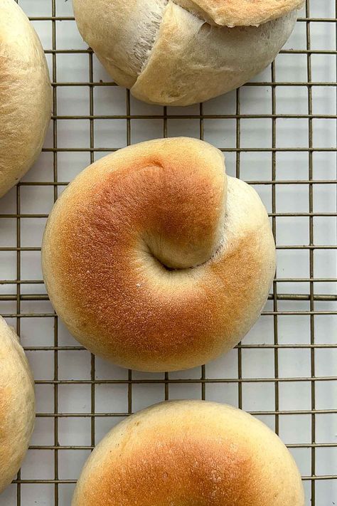 Oat Milk Bagels - Okonomi Kitchen Types Of Bagels, Okonomi Kitchen, Creamy Oat Milk, How To Make Oats, Pasta Sides, Homemade Bagels, Vegan Holidays, Bagel Recipe, Dough Bowl