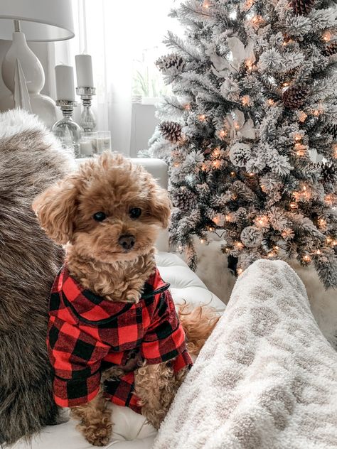 Brown Christmas Decor, Merry Chrysler, Christmas Dog Decor, Christmas Puppies, Pinecone Christmas, Pine Cone Christmas Tree, Winter Things, Neutral Christmas Decor, Neutral Christmas