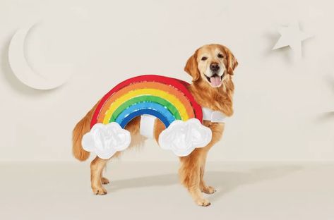 dog in rainbow costume Dog Hoodie Pattern, Rainbow Costume, Target Dog, Costume Rainbow, Puppy Crafts, Rainbow Costumes, Unicorn Stuffed Animal, Diy Dog Costumes, Rainbow Dog