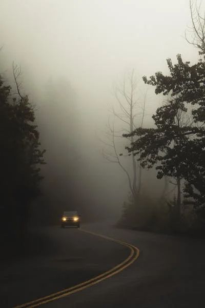 Brady Knoll . Photography Foggy Rain, Road Drawing, Road Trip Checklist, Road Painting, Road Trip Camping, Foggy Mountains, Forest Aesthetic, Nature Camping, Foggy Forest