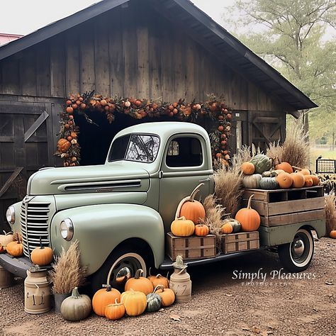 Christmas Mini Sessions Outdoor, Agritourism Farms, Fancy Farm, Large Family Photos, Fall Birthday Parties, Barn Parties, Pole Barn House Plans, Fall Fest, Fall Farmhouse