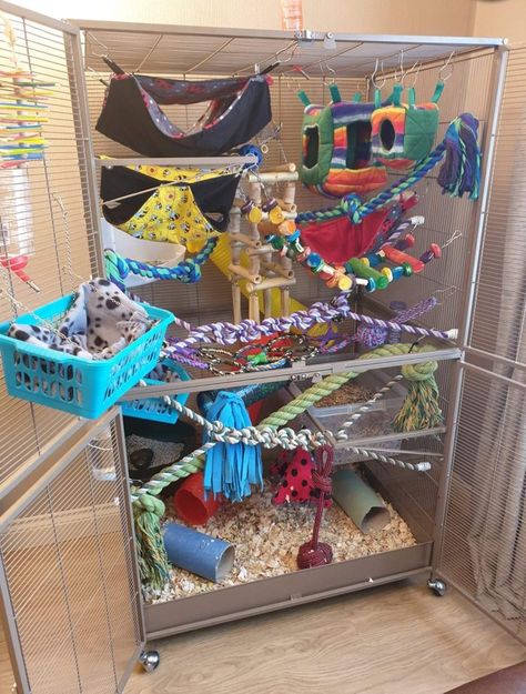 Ray Cage Ideas, Crochet Rat Cage Accessories, Rat Cage Aesthetic, Rat Setup, Rat Enclosure, Rat Cage Diy, Flying Squirrel Pet, Pet Rat Cages, Critter Nation Cage