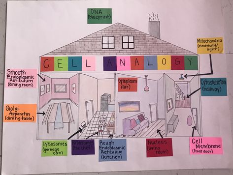 Cell City Project Ideas Drawing, Cell Analogy Project Ideas, Innovative Chart Ideas For Biology, Cell Wall Notes, Cell City Project, Eukaryotic Cell Drawing With Label, Plant Cell Drawing With Label, Cell City, Cell Analogy