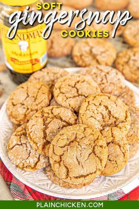 Soft Gingersnap Cookies (Made with Canola Oil) - Plain Chicken Gingersnap Cookies Crispy, Bisquick Chocolate Chip Cookies, Soft Gingersnap Cookies, Plain Chicken Recipes, Simple Holiday Cookie Recipes, Christmas Cookie Bars, Gingersnap Cookies, Gooey Butter Cookies, Soft Gingerbread