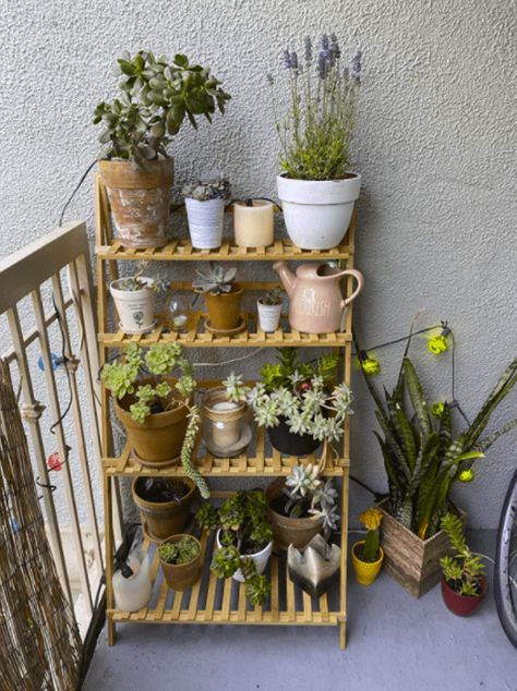 Pot Organization, Balcony Flowers, Apartment Goals, Apartment Balconies, One Bedroom Apartment, One Bedroom, Cubbies, Balcony, Potted Plants