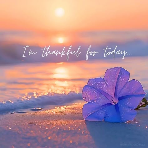 Grateful Quotes, Inspirational Quotes Wallpapers, Cute Quotes For Life, Phone Wallpaper Images, Daily Inspiration Quotes, Cute Wallpaper Backgrounds, Landscape Wallpaper, Purple Flower, Good Vibes Only