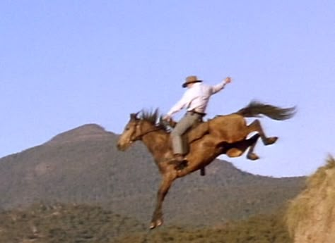 Jessica Harrison, Jim Craig, The Man From Snowy River, Man From Snowy River, Brian Dennehy, River Tattoo, Snowy River, Mcleod's Daughters, Horse Movies