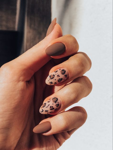 Brown Manicure, Stripped Nails, French Tip Acrylic Nails, Leopard Nails, Almond Nails Designs, Trim Nails, Brown Nails, Perfect Stocking Stuffers, Nail Polish Strips