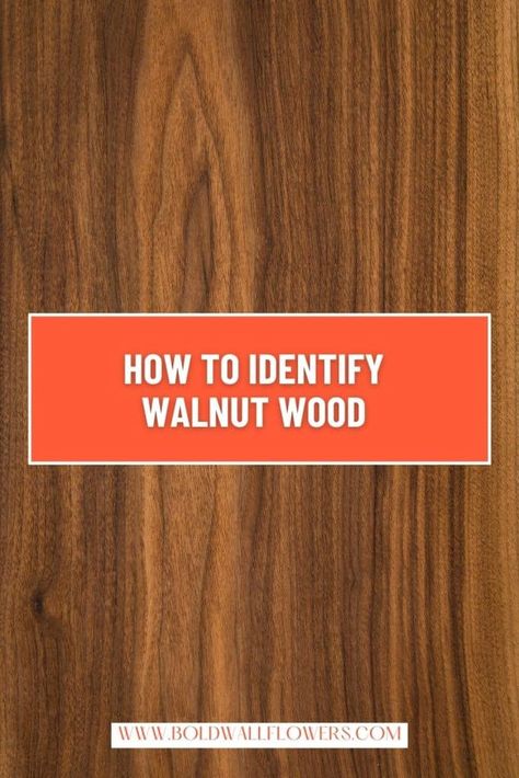 Walnut Wood Texture Interior Design, Wood Identification, Walnut Wood Color, Walnut Furniture, Furniture Wax, American Black Walnut, Furniture Refinishing, Wood Fiber, Walnut Veneer