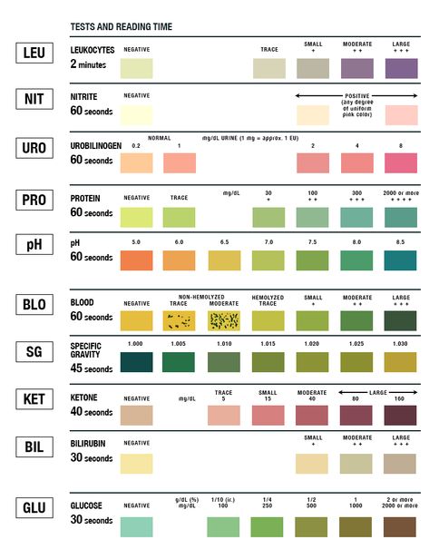 Urinalysis Test Strip Color Chart | learn.parallax.com Urine Analysis Lab, Urinalysis Cheat Sheet, Urine Analysis, Med Notes, Veterinary Nursing, Veterinarian Technician, Nursing Labs, Medical Lab Technician, Nurse Notes