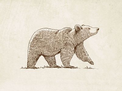 Grizzly Bear Illustration Grizzly Bear Illustration, Bear Sketch, Bear Tattoos, Bear Drawing, Bear Tattoo, Bear Illustration, Desenho Tattoo, Dessin Adorable, Bear Art