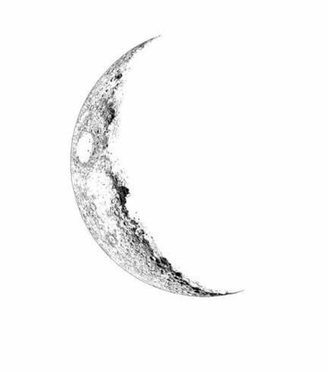 Moon Sketch Tattoo, Waning Moon Tattoo, Moonlight Tattoo, Realistic Moon Tattoo, Luna Tattoo, Tattoos 2024, Sketch Style Tattoos, Waning Moon, K Tattoo