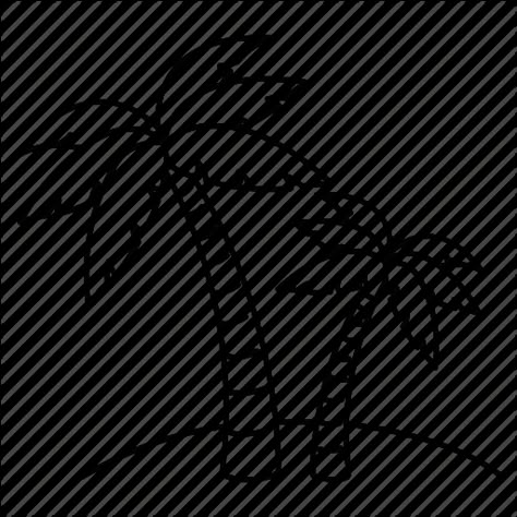 Palm Tree Line Drawing - Beach Palm Tree Drawing (512x512) Palm Trees Clipart, Easy To Draw Palm Trees, Palm Tree Clipart Black And White, Plam Tree Drawing Easy, Beach Trees Drawing, Cartoon Palm Tree Drawing, Palm Tree Coloring Pages Free Printable, Palm Tree Coloring Page, Simple Palm Tree Drawing