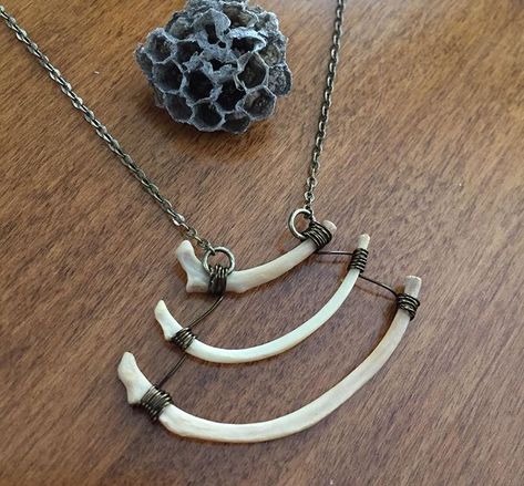 Wire Wrapped Bones, Animal Bones Crafts, Oddities Art, Animal Bone Jewelry, Taxidermy Jewelry, Leg Bones, Acrylic Art Projects, Taxidermy Art, Bone Crafts