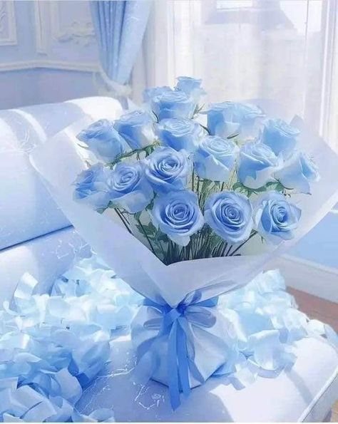 Blue Roses, Roses, Blue, White