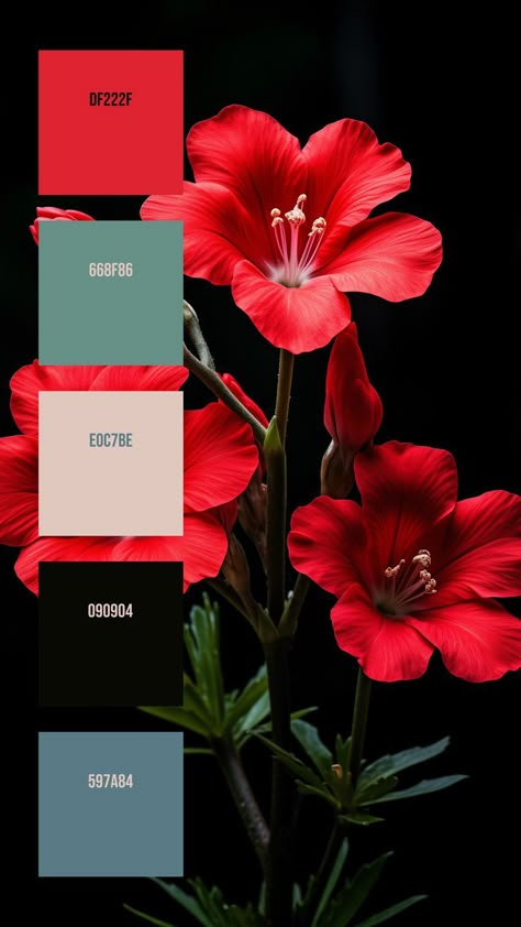 Colors: DF222F ° 668F86 ° E0C7BE ° 090904 ° 597A84 Palette Colour Schemes, Spring Time Wedding, Teal Color Palette, Colour Codes, Dye Yarn, Color Mixing Chart, Hex Color Palette, Red Colour Palette, Colour Pallets