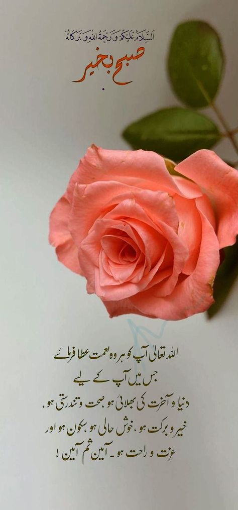 Subha Khair Dua In Urdu, Subha Bakhair Dua In English, Beautiful Dua In Urdu, Good Morning Arabic Dua, Good Morning Urdu Dua New, Urdu Dua Images, Morning Quotes Islam, Islamic Morning Greetings, Subha Bakhair Dua In Urdu Latest