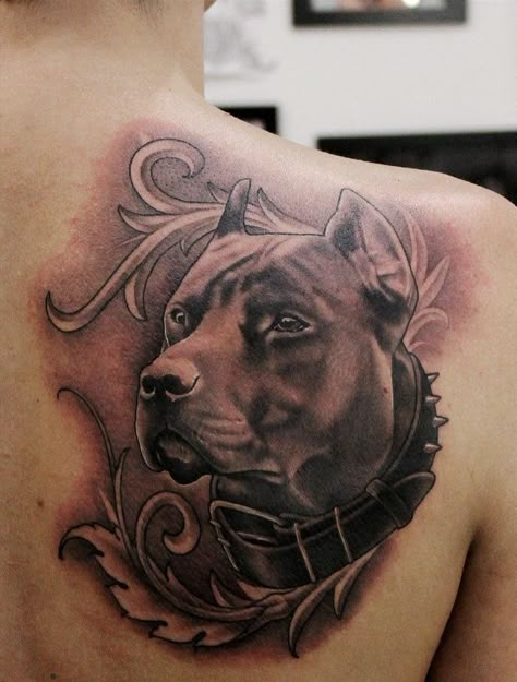 Animal Lover Tattoo, Pet Tattoo Ideas, Chucky Tattoo, Pet Tattoos, Pitbull Tattoo, Animal Sleeve Tattoo, Dog Paw Tattoo, Aztec Tattoo Designs, Samurai Tattoo Design