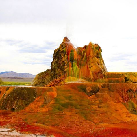 Fly Geyser Nevada, Fly Geyser, Tahoe Vacation, Lake Tahoe Vacation, Black Rock Desert, Random Places, Reno Tahoe, Vacation Itinerary, Nevada Usa