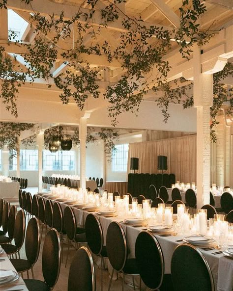 Unique Floral Designs on Instagram: "Remembering this Smilax ceiling and how much it complimented all the details 🌿 Planning + Design | @crowned.events Photography | @whitneydarling Videography | @steelheadcinema Florals | @uniquefloraldesigns Rentals | @casadeperrin @bbjlatavola @brighteventrentals @mtb_event_rentals Catering | @mihocateringco Bar | @thewhalingclub DJ | @dartcollective Makeup | @makeupbyshadi Hair | @andreavilla_hair Venue | @thereveryla Stationary | @epochdes Bride + Groom | Hanging Greenery Wedding, Crisp Wedding, Wedding Ceiling, Industrial Ceiling, Events Photography, Ceiling Installation, Tent Wedding, Wedding Los Angeles, Event Rentals