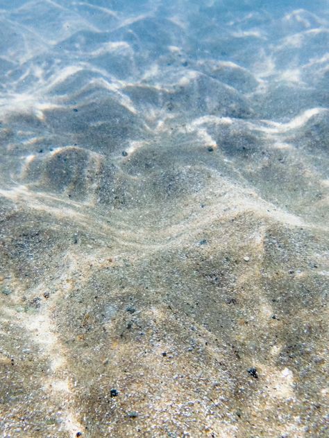 Water Background, Ocean Aesthetic, Blue Orange White, Ocean Water, Fun Shots, Underwater Photography, Sea And Ocean, Ocean Photography, Big Blue