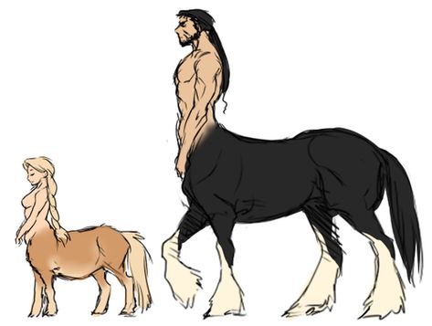 Shire Horse Centaur, Horse Body Sketch, Horse Human Hybrid, Centaur Tutorial, Half Horse Half Human, Hubedihubbe Centaurs, Anime Centaur, Arte Aries, Body Tutorial