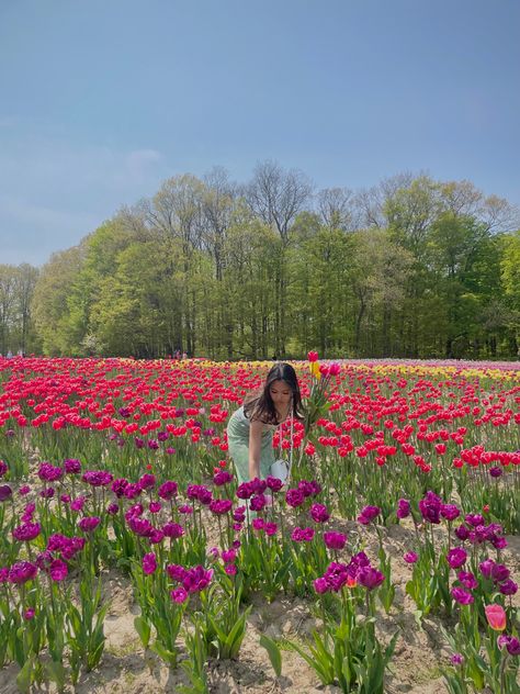 tulips season spring outfit style farm aesthetic style #pinterestinspired #springoutfit #2023 #tulips Spring Photo Ideas, Tulips Field, Aesthetic Tulips, Pinterest Girl Aesthetic, Farm Aesthetic, Garden Picture, Tulip Season, Tulip Garden, Tulips Garden