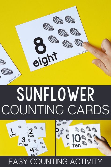 Make counting fun with these sunflower counting cards! Great for Pre-K and Kindergarten! Sunflower Counting | Counting Cards | Counting Activity | Pre-K Counting | Counting | Kindergarten Counting | Summer Counting Activity | Pre-K Math | Life Over C's #sunflowercounting #counting #countingcards #prekmath #kindergartenmath #preschool #preschoolmath #printable #lifeovercs Sunflower Preschool, Sunflower Activities, September Lesson Plans, Preschool Math Center, Preschool Fall Activities, Counting Activities For Preschoolers, Math For Preschoolers, Sunflower Life Cycle, Sunflower Journal