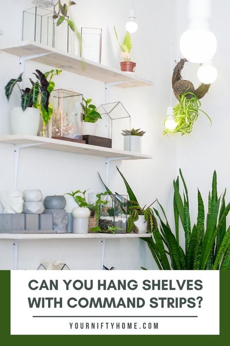 Can You Hang Shelves With Command Strips Command Strip Shelf, Command Shelves, Shelves On The Wall, Hang Shelves, Stripped Wall, Command Hooks, Floating Shelves Diy, Floating Wall Shelves, Command Strips