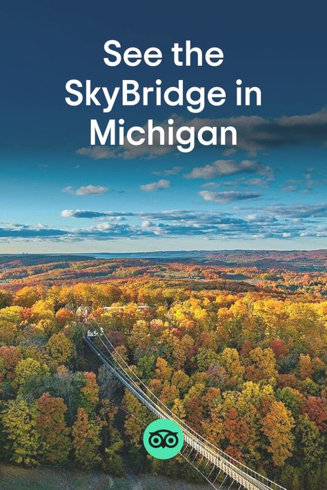 Located at Boyne Mountain Resort, SkyBridge Michigan is the world’s longest timber-towered suspension bridge. It debuted in fall 2022 and stays open year-round for gorgeous views of the North McLouth terrain park and the Village at Disciples Ridge. After riding the historic Hemlock Scenic Chairlift to the top of Boyne Mountain, visitors can walk the entirety of the 1,200-foot-long bridge, then hit either of two paved trails. Skybridge Michigan, Boyne Mountain Resort, Boyne Mountain, Fall In Michigan, Swinging Bridge, Sky Bridge, Grandfather Mountain, Sacramento River, Pedestrian Bridge