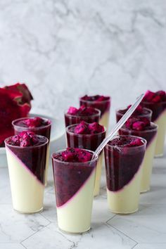 If you are looking for unique desserts for parties, these dragon fruit panna cotta shooters are definitely a winner! They are a beautiful dessert, an easy dessert recipe to make. Wow your guests with this easy dessert for parties and events! #dragonfruit #pannacotta #easypannacottarecipe #pannacottarecipes #dragonfruitdessert #dragonfruitdesserts #dragonfruitdessertrecipes #dragonfruitrecipes #pannacottarecipe Dragon Fruit Dessert, Dragonfruit Recipes, Dessert Shooters Recipes, Buah Naga, Dessert Shooters, Mini Dessert Cups, Thanh Long, Panna Cotta Recipe, Dessert Aux Fruits