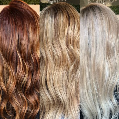 Color correction from red to blonde Red Transition To Blonde, Red To Blonde Transition Hair, Blonde After Red Hair, Blondes Going Red, Going Blonde From Red, Blonde To Dark Red Hair Before And After, Orange To Blonde Hair Color Correction, Transition From Red To Blonde Hair, Red To Blonde Transition