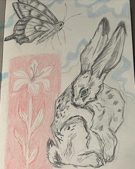 quick switch book spread inspired by @artbyannaviola and @taraneenoart because I love their styles and I haven’t done any drawing in a while 🐇🪷. . . . . . . . . . . . . tags: sketchbook dump #sketchbook #art #rabbit #graphitesketch #artsketch #pencilsketch #pencildrawings #flowers #flowerart #flowerdrawing #rabbitart #rabbitdrawing #sketchbookdump #sketchbookspread #artinspo art sketchbook spread of rabbits and flowers Drawings Of Bunnies, Sketchbook Dump, Book Spread, Any Drawing, Bunny Sketches, Sketchbook Spread, Art Rabbit, Rabbit Drawing, Ap Studio Art