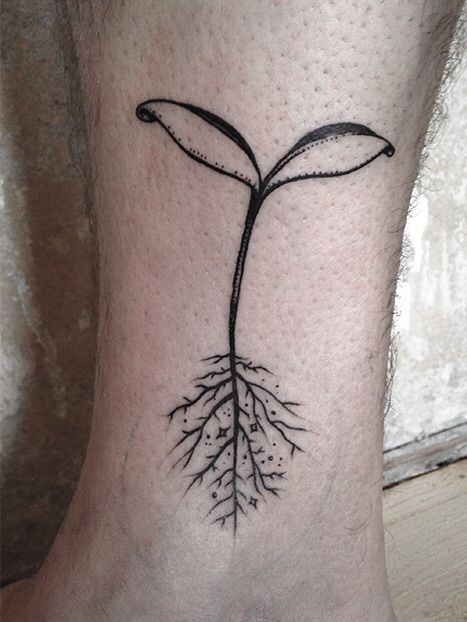 Sapling to tree- tattoo. Tree Sapling Tattoo, Sprout Tattoo, Sapling Tree, Indoor Plants Aesthetic, Seed Tattoo, Nature Sleeve, Tree Roots Tattoo, Plants Tattoo, Roots Tattoo