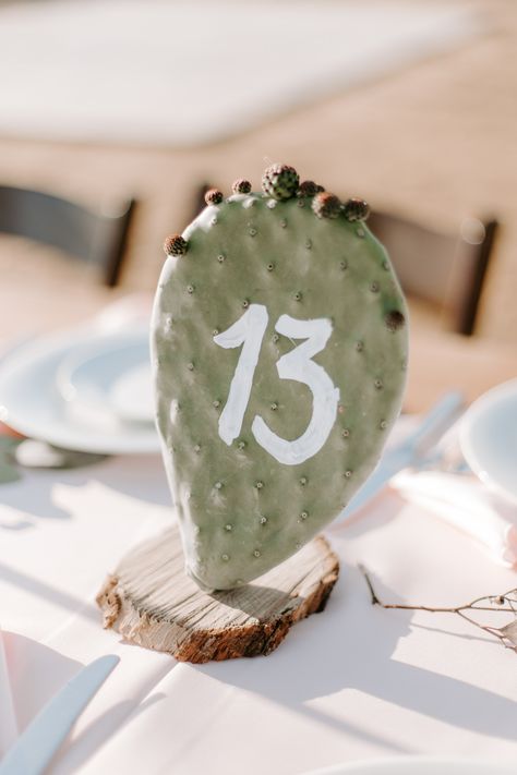 Desert Vibes Wedding, Cactus Table Numbers, Wedding Cake Cactus, Cactus Tablescape, Desert Reception, Centerpieces Eucalyptus, Desert Theme Wedding, Cactus Centerpieces, Tree Themed Wedding